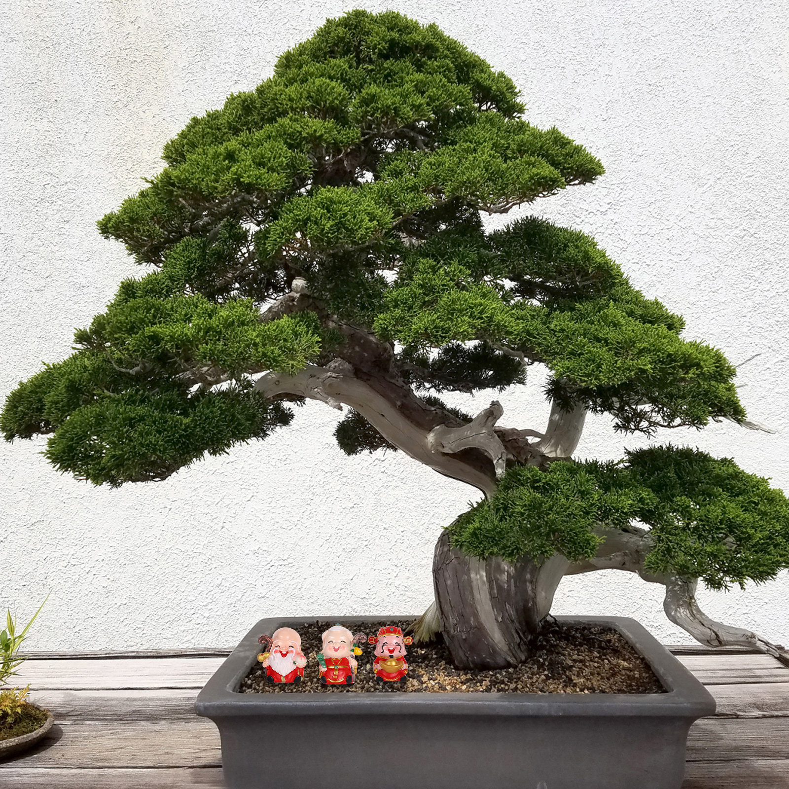 3Pcs Resin Chinese Elder Figur - Longevity Health & Wellness Hotel Adults Only のレビューと価格
