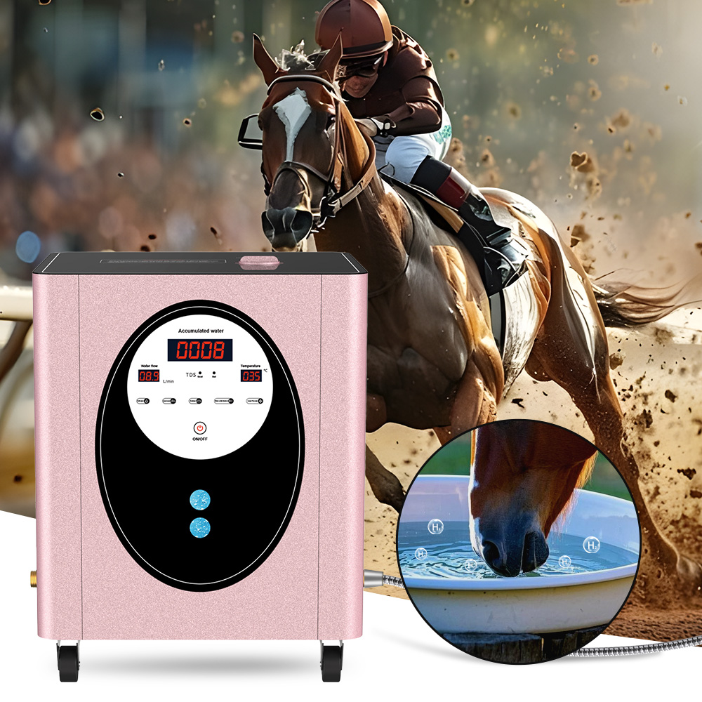 SUYZEKO Whole House Hydrogen W - Health Wellness And Spa のレビューと価格